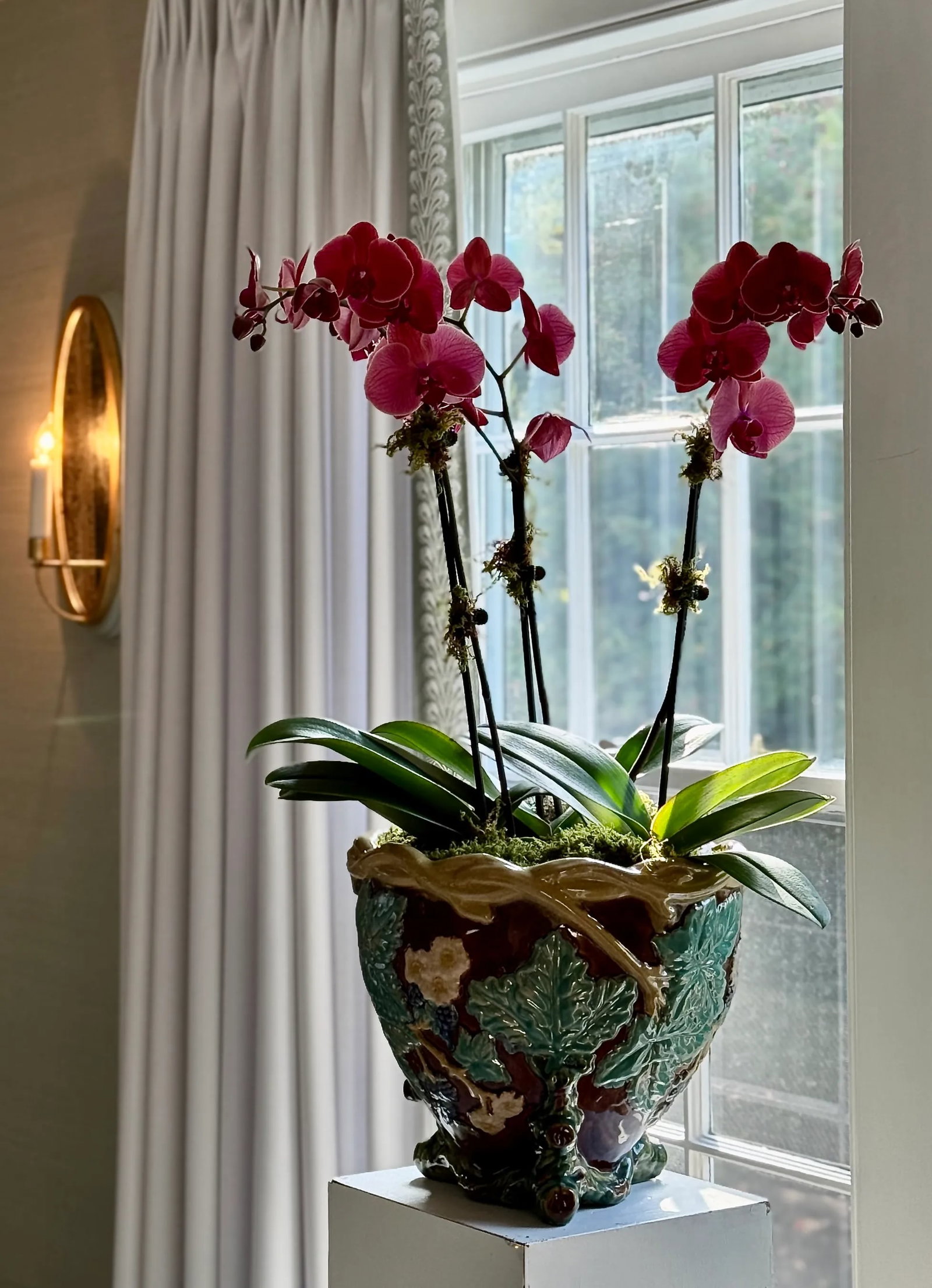 Antique Majolica Faux Bois Ceramic Jardiniere, Japan - 8