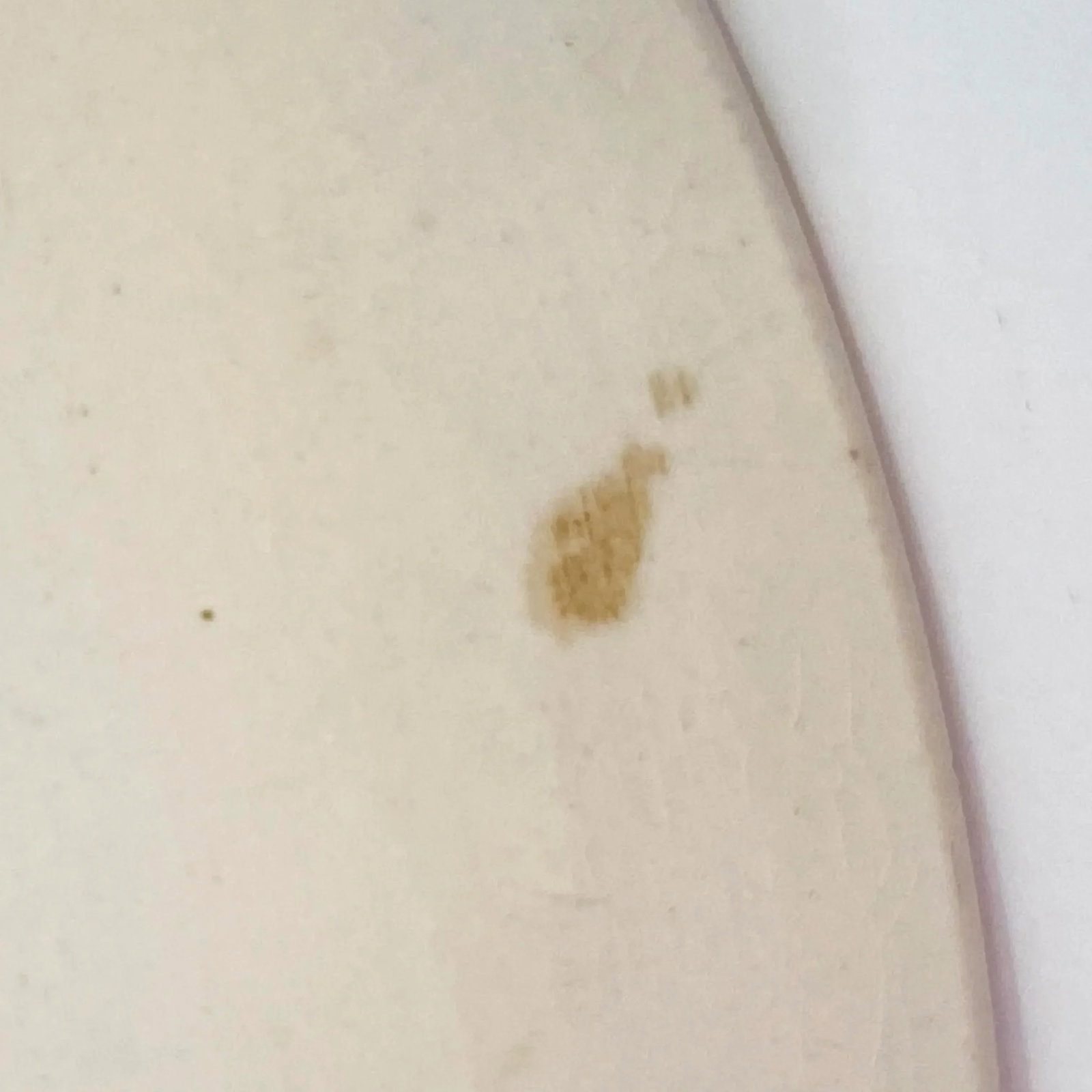 Mid-Century Royal Staffordshire Jenny Lind Pink Dinner Plate - 8