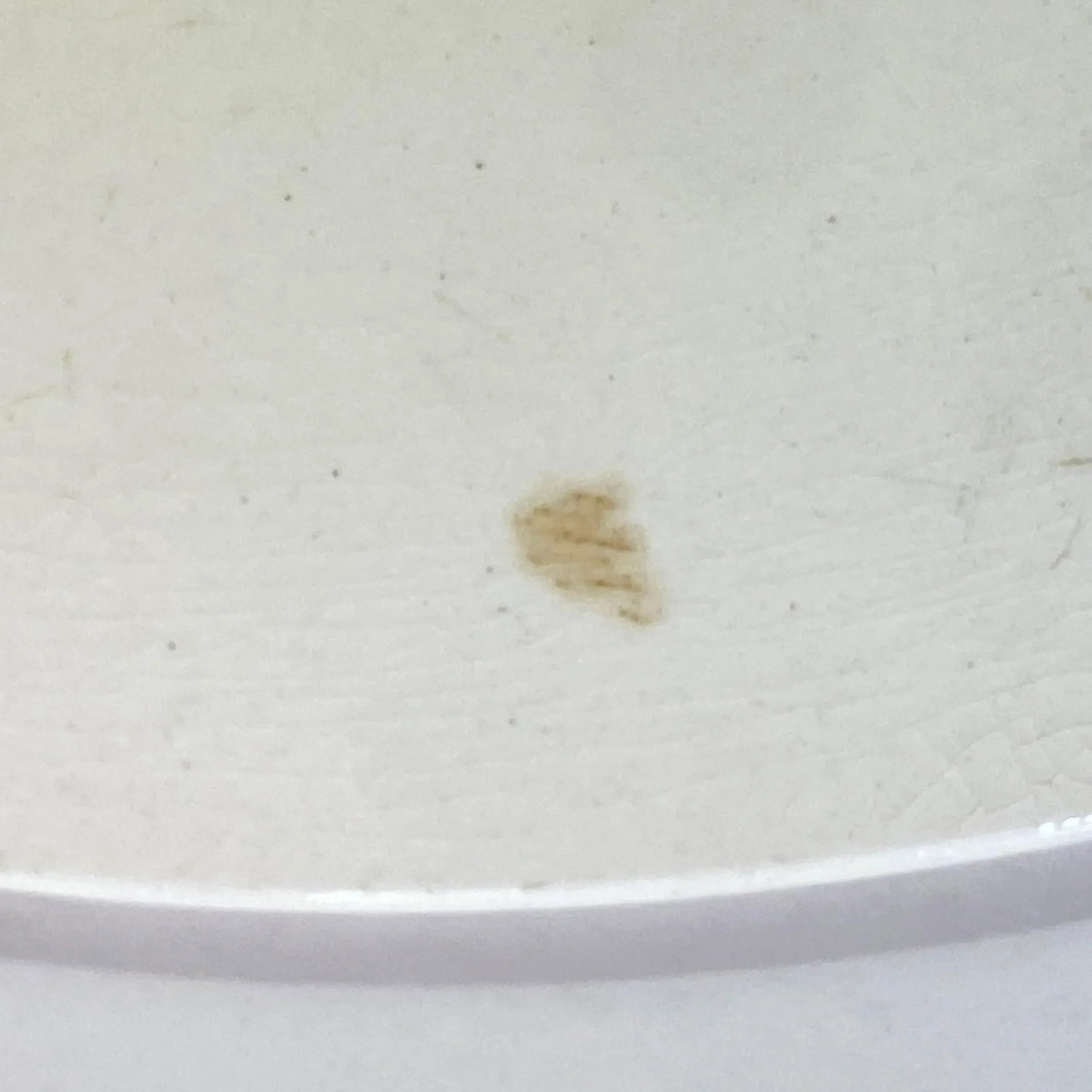 Mid-Century Royal Staffordshire Jenny Lind Pink Dinner Plate - 9