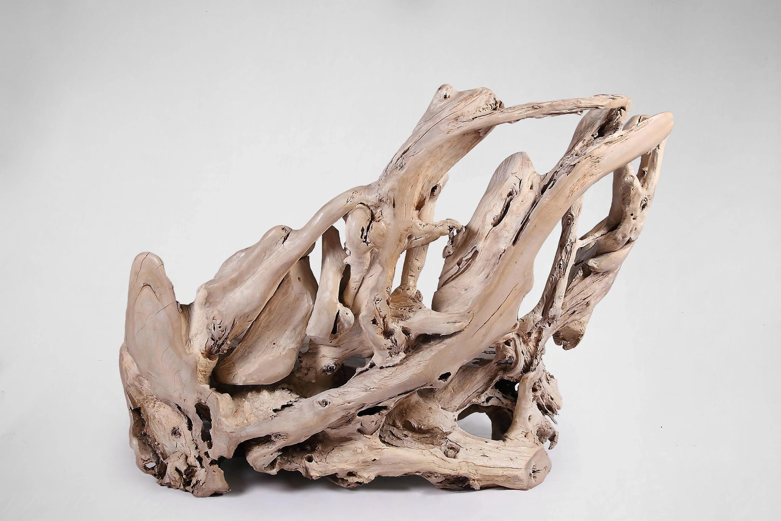 Modern Free Form Teak Root Bench 29 - 3