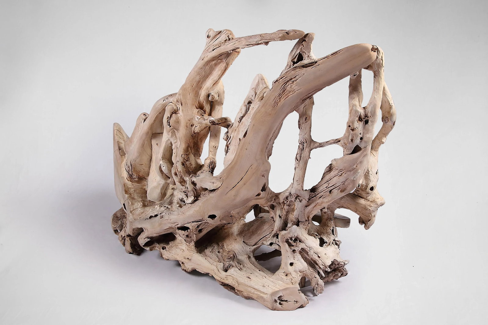 Modern Free Form Teak Root Bench 29 - 4