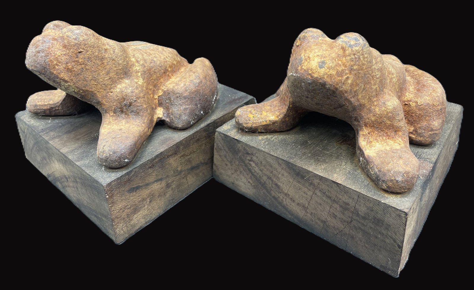 Pair of Cast Iron Frog Bookends Décor (1 of 8)