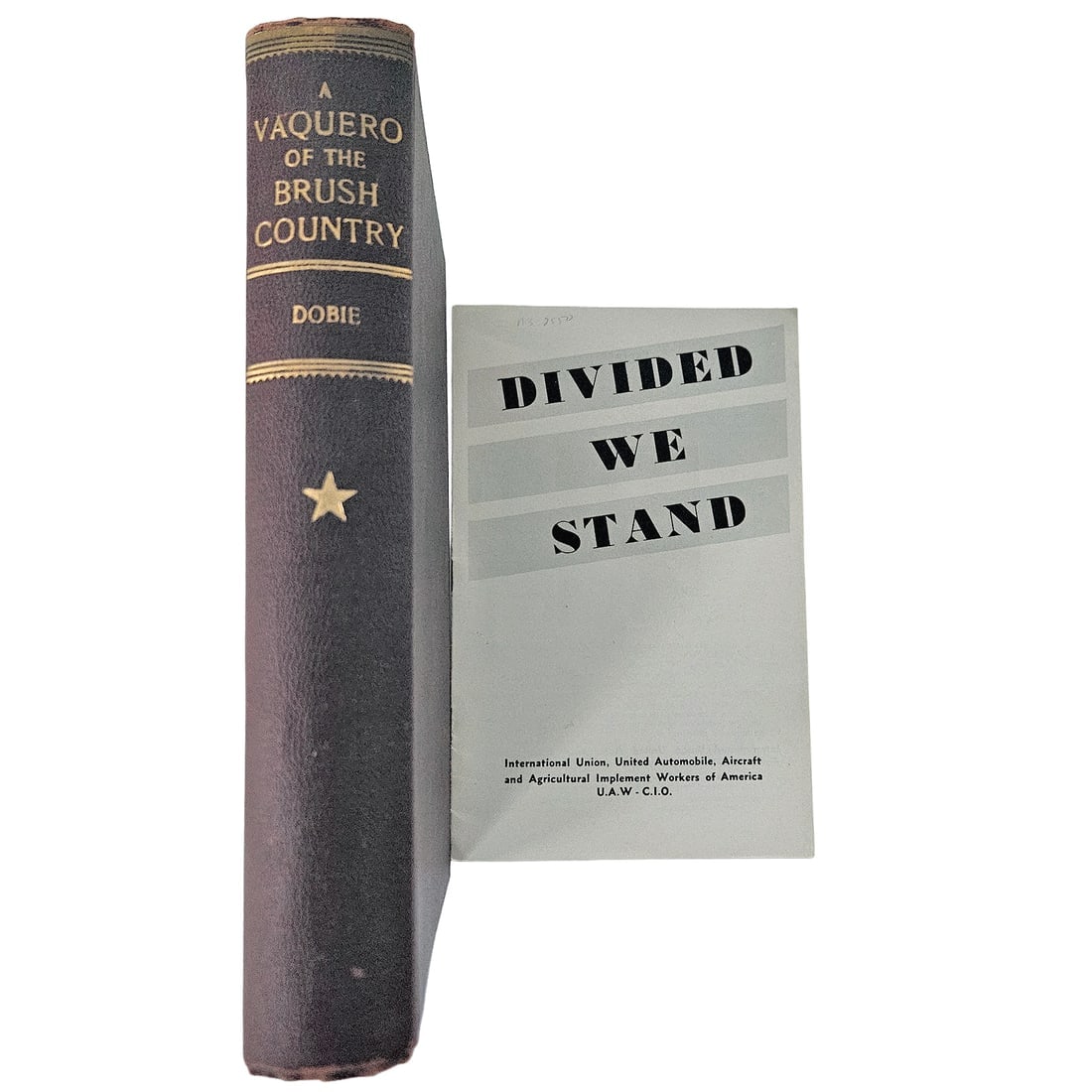 J Frank Dobie A Vaquero of the Brush Country - 1929 4th Edition (1 of 13)