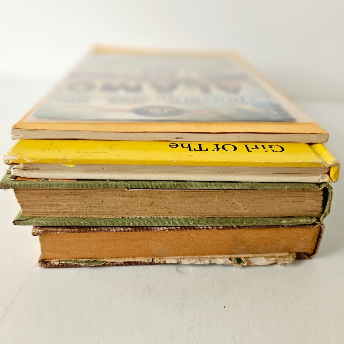 Remember the Alamo Book Set - 7