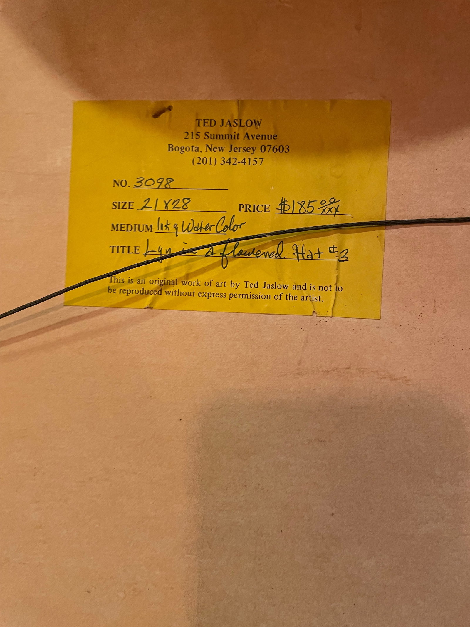 Lyn in a flowered hat #3 - 2