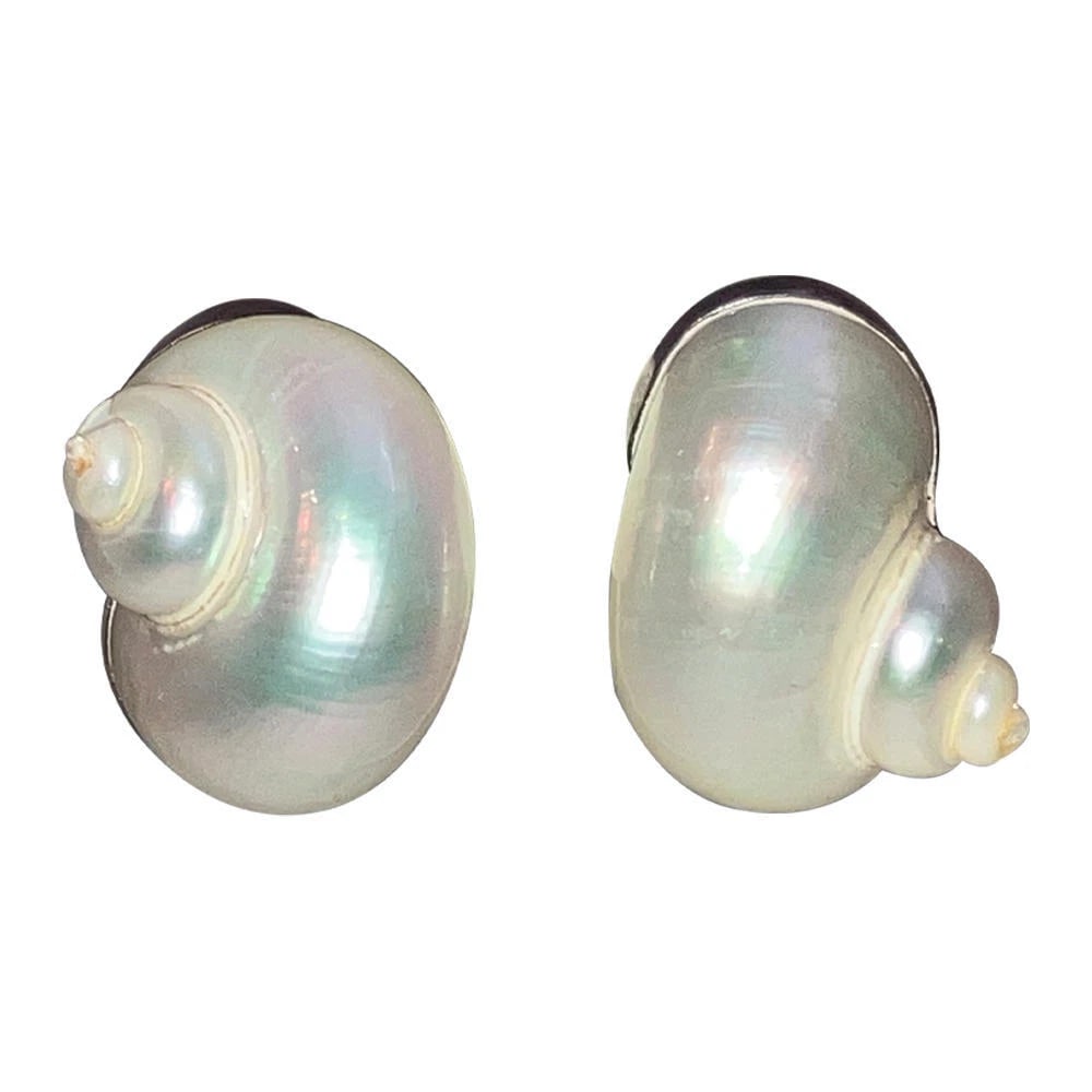 Betsy Fuller 14 Kt Sterling Sea Shell Earrings - 2