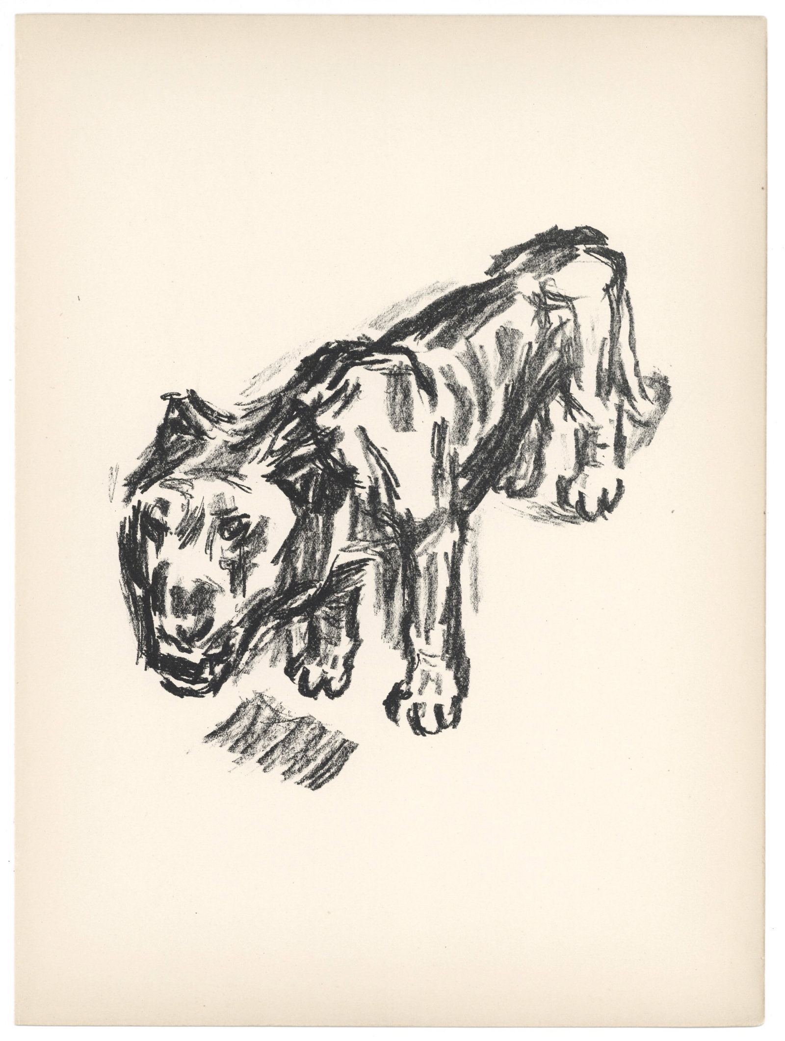 Rene Beeh original lithograph "The Lion": Title:Rene Beeh original lithograph "The Lion"Description:Medium: original lithograph. Printed in 1920 on smooth wove paper for the Deutsche Graphiker der Gegenwart portfolio, and published in