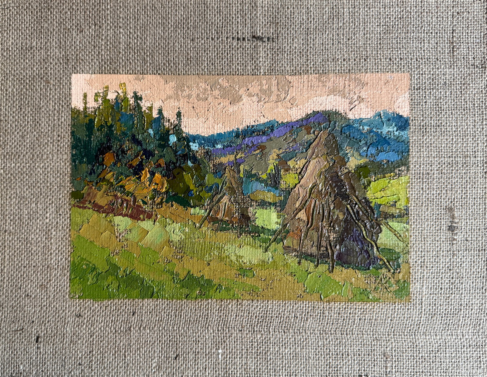 Oil painting on the slopes of the Carpathians K. Leonid: Title: Oil painting on the slopes of the Carpathians K. Leonid Description: 292KK Painter: K. Leonid Size: 33x42 cm/ 12.99x16.53 inches Components: oil, canvas, cardboard Original painting 