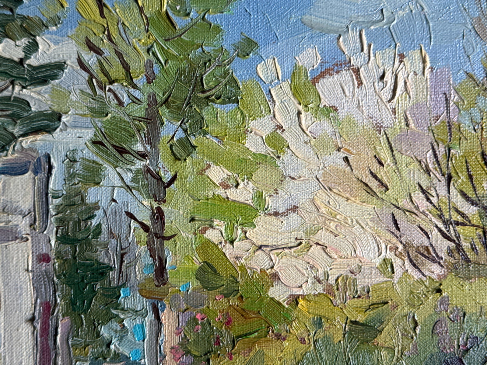 Oil painting with frame Botanical Garden of Lviv University K. Leonid - 5