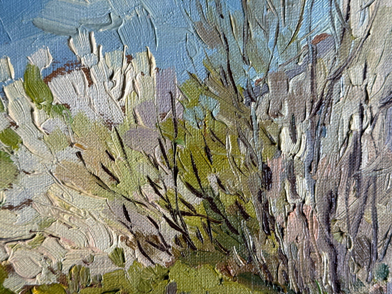 Oil painting with frame Botanical Garden of Lviv University K. Leonid - 6