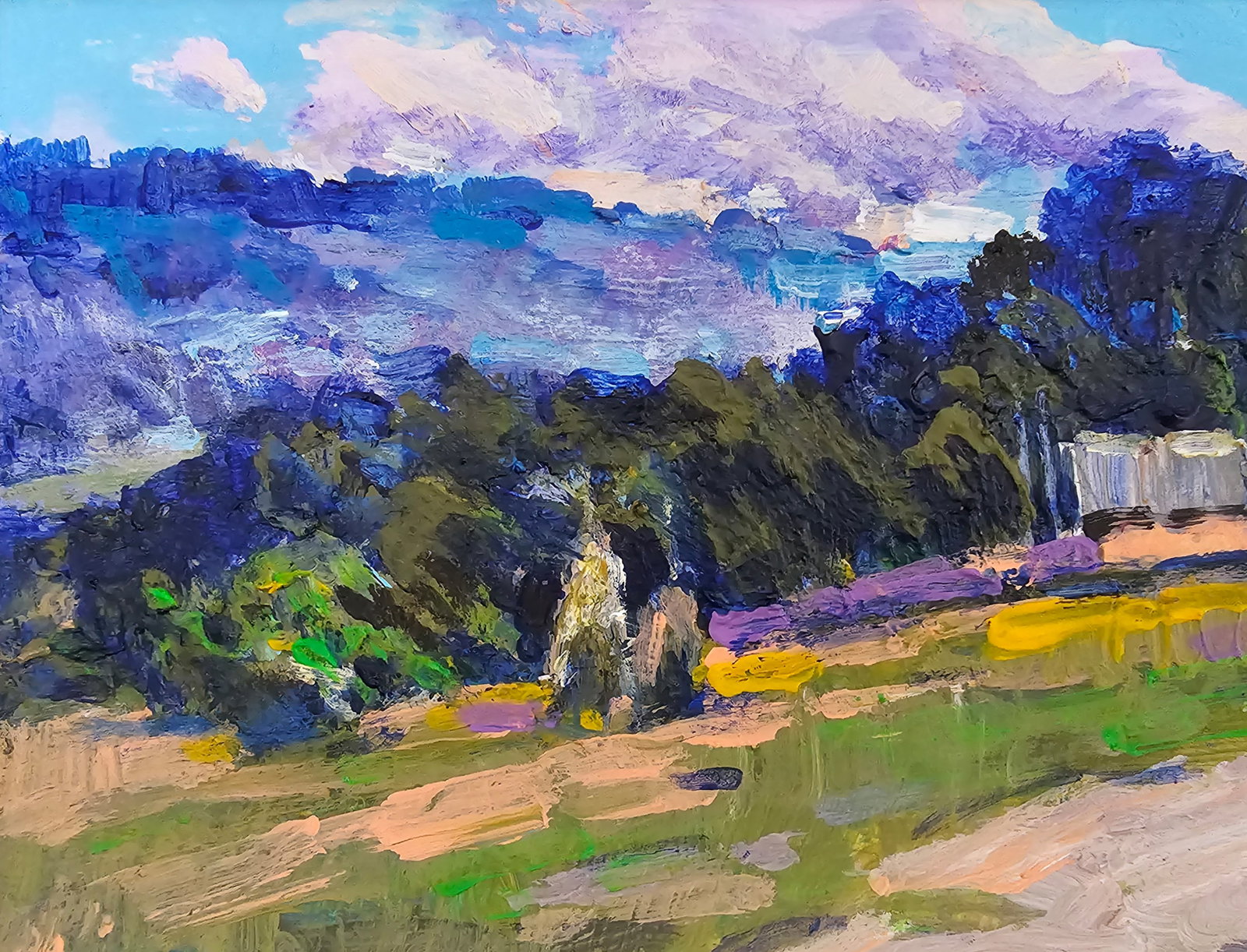 Acrylic painting Carpathian landscape Vyacheslav Petrovich Babac - 3