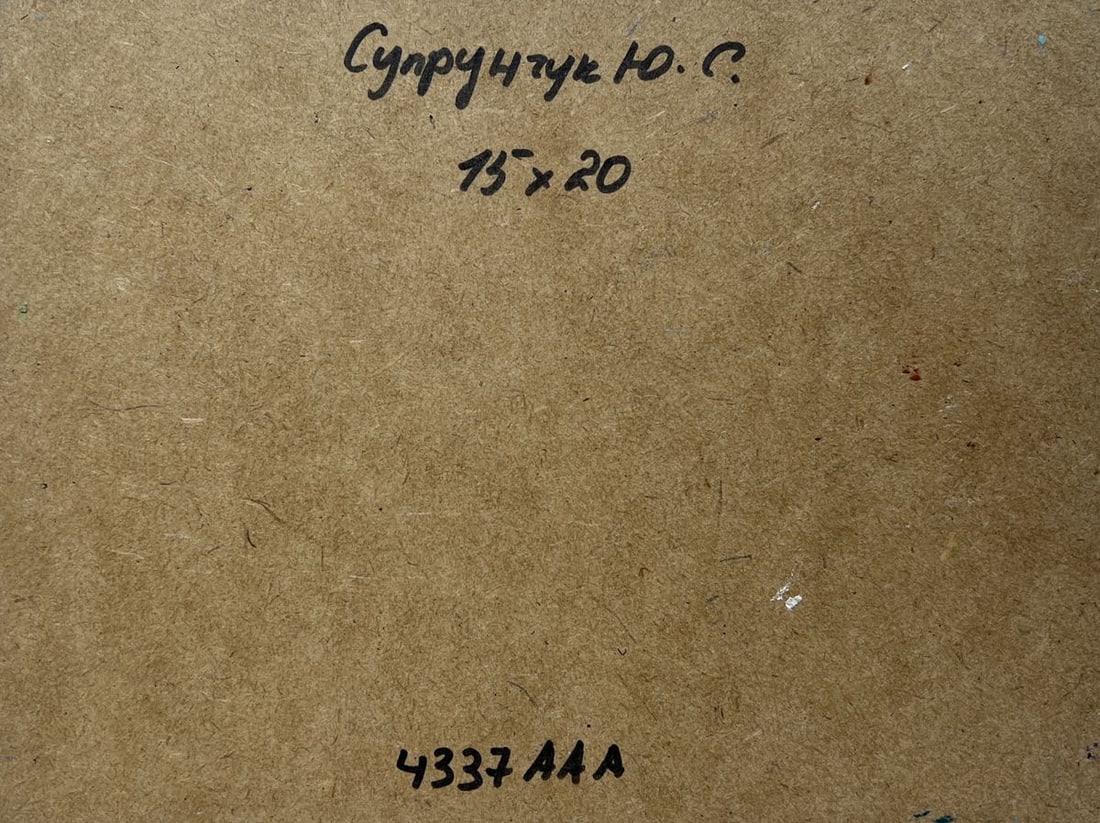 Oil painting The sun is sinking into the sea Yuriy Suprunchuk - 8