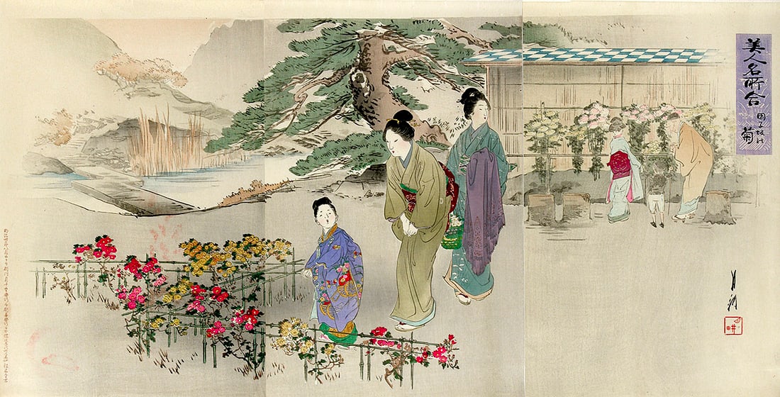 Ogata GEKKO (1859-1920): Chrysanthemum at Kiku: Artist: Ogata GEKKO (1859-1920) Title:Chrysanthemum at Kiku Series: Beautiful Women at Famous Places Publisher:Matsuki Heikichi Date:05 October 1898 (this impression). FIRST edition. Medium:Woodblock