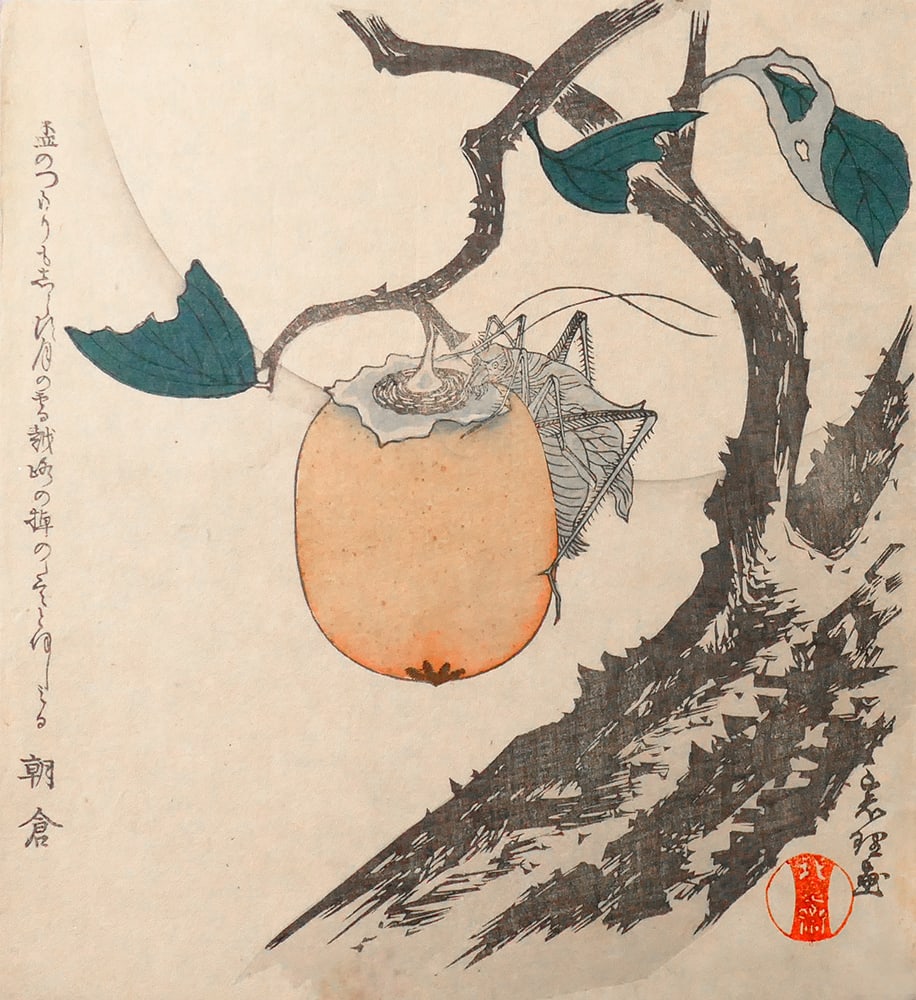 (after) Hokusai (1760-1849): Grasshopper, persimon and moon: Artist: (after) Hokusai (1760-1849)Title:Grasshopper, persimon and moonPublisher:Isakichi Tsumura, from the town of AkashiDate:1890sMedium:woodblock printSize/Format:shikishiban surimono (c. 8.5" x