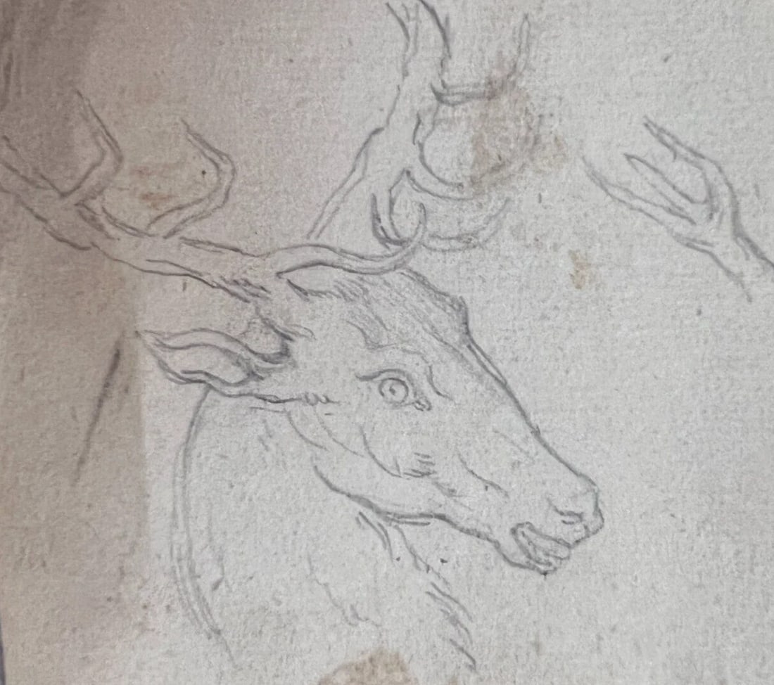 Antique Pencil Original 19th century Drawing Deer, Animal: Title: Antique Pencil Original 19th century Drawing Deer, Animal Description: Pencil on paper 8 x 9 cm folds, stains Reserve: $40.00 Shipping: Domestic: Flat-rate of $25.00 to anywhere within the cont
