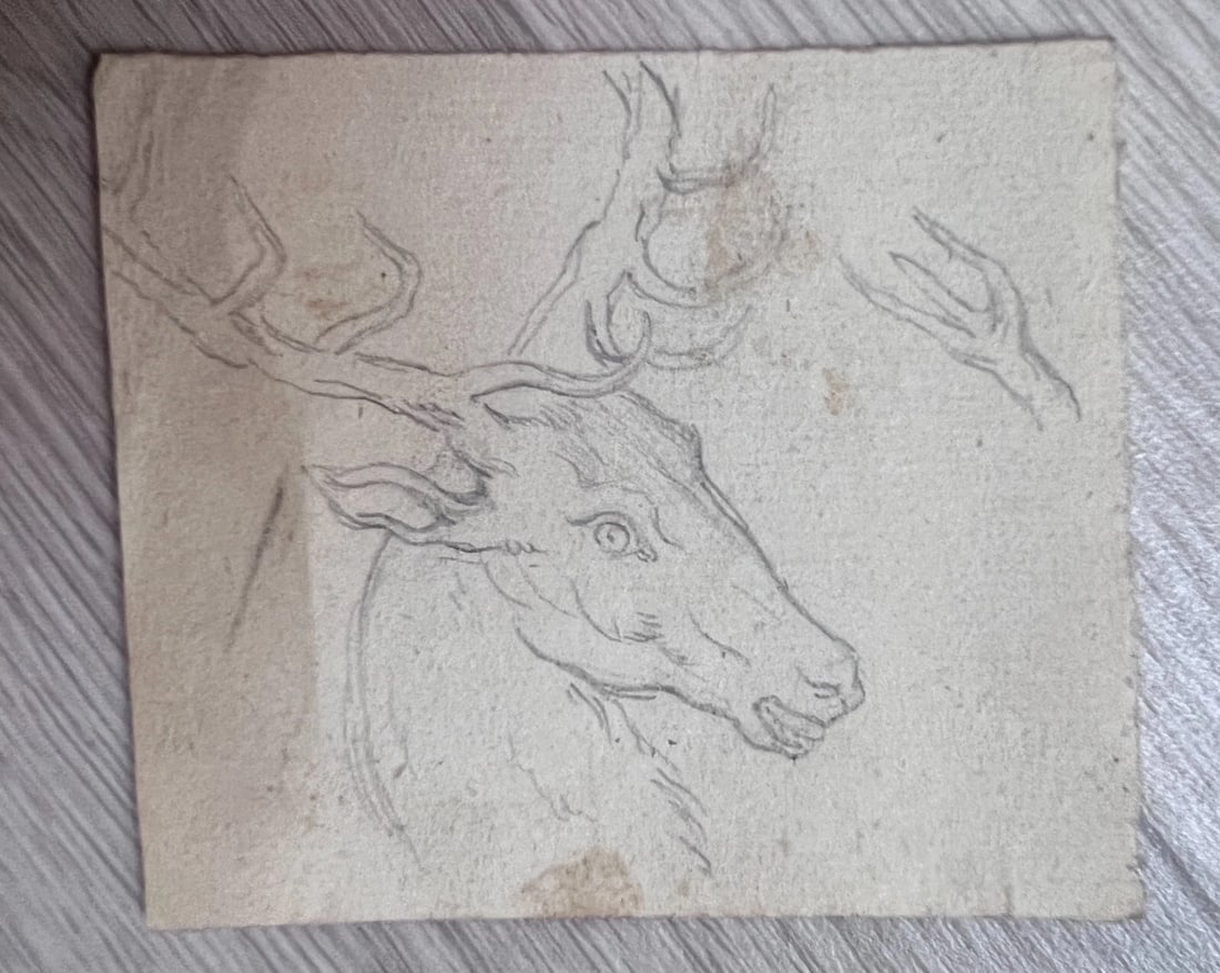 Antique Pencil Original 19th century Drawing Deer, Animal - 3