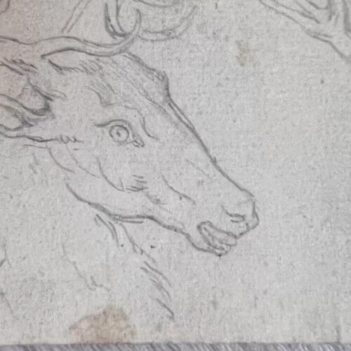 Antique Pencil Original 19th century Drawing Deer, Animal - 4