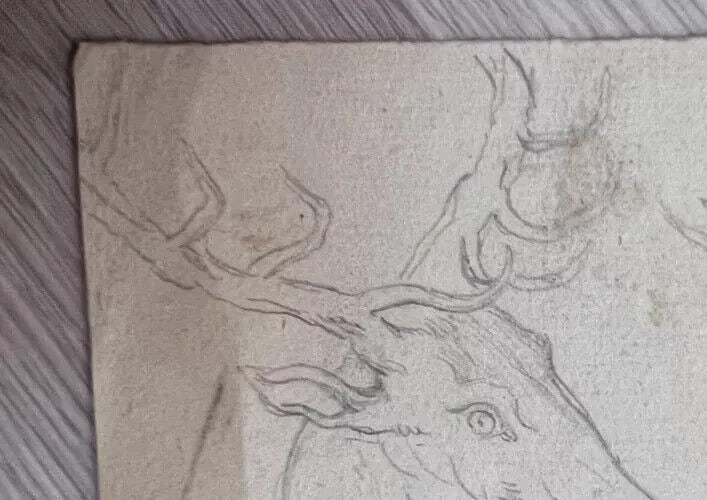 Antique Pencil Original 19th century Drawing Deer, Animal - 6
