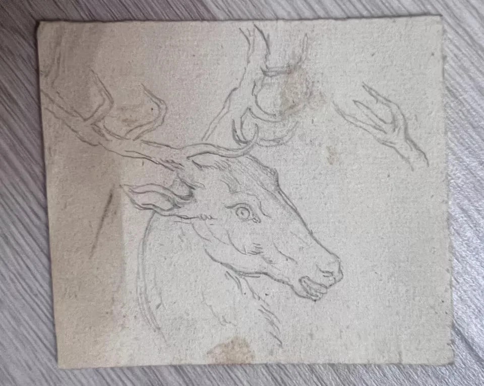 Antique Pencil Original 19th century Drawing Deer, Animal - 7