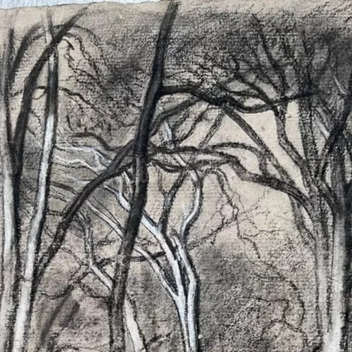 Antique Original Drawing Original Forest, Trees, Landscape - 5
