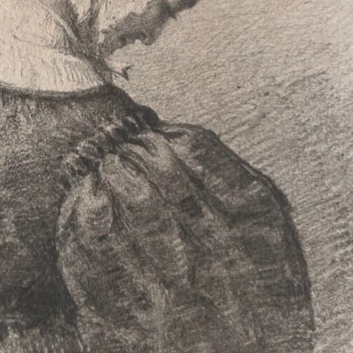 Antique Drawing Original Woman, Portrait, Hat 19th century - 6