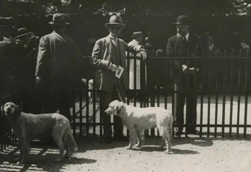 1930 Dog Show Original Vintage Photograph - 2