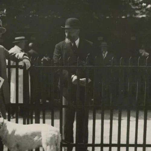 1930 Dog Show Original Vintage Photograph - 6