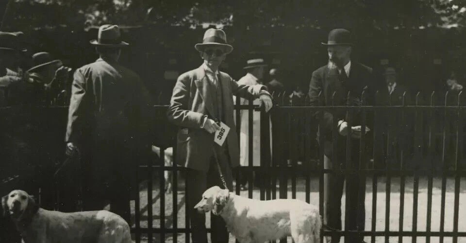 1930 Dog Show Original Vintage Photograph - 7