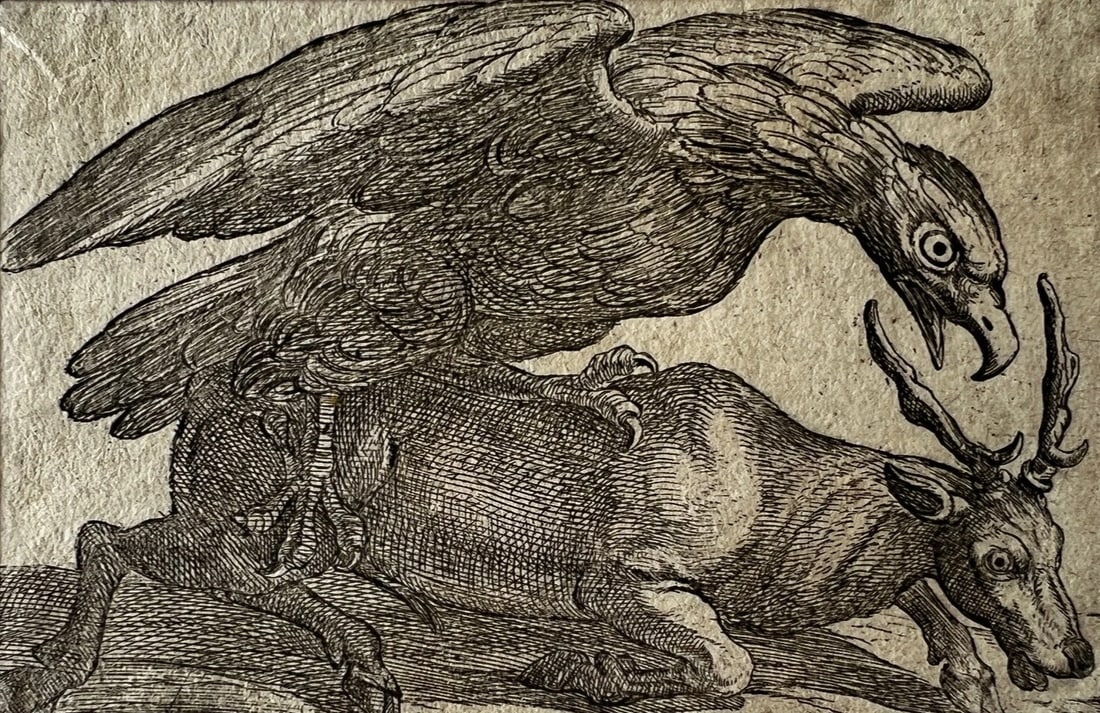 17th century Antique Original Etching Engraving, Eagle and Dear: Title: 17th century Antique Original Etching Engraving, Eagle and Dear Description: 9 x 13 cm (size of the print) / 3.54 x 5.11 inches 33.5 cm x 15.5 (passepartout size) Reserve: $100.00 Shipping: Dom