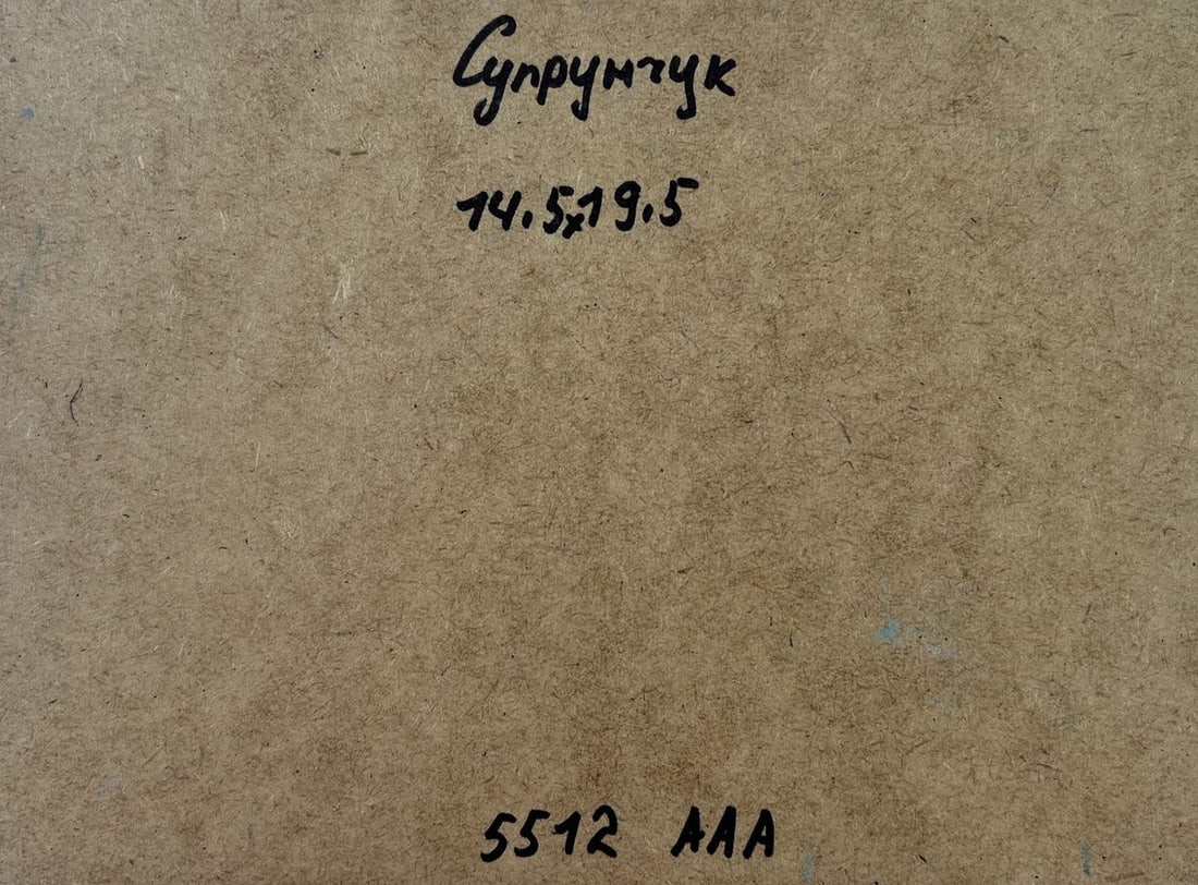 Oil painting The fusion of sea and mountains Yuriy Suprunchuk - 8