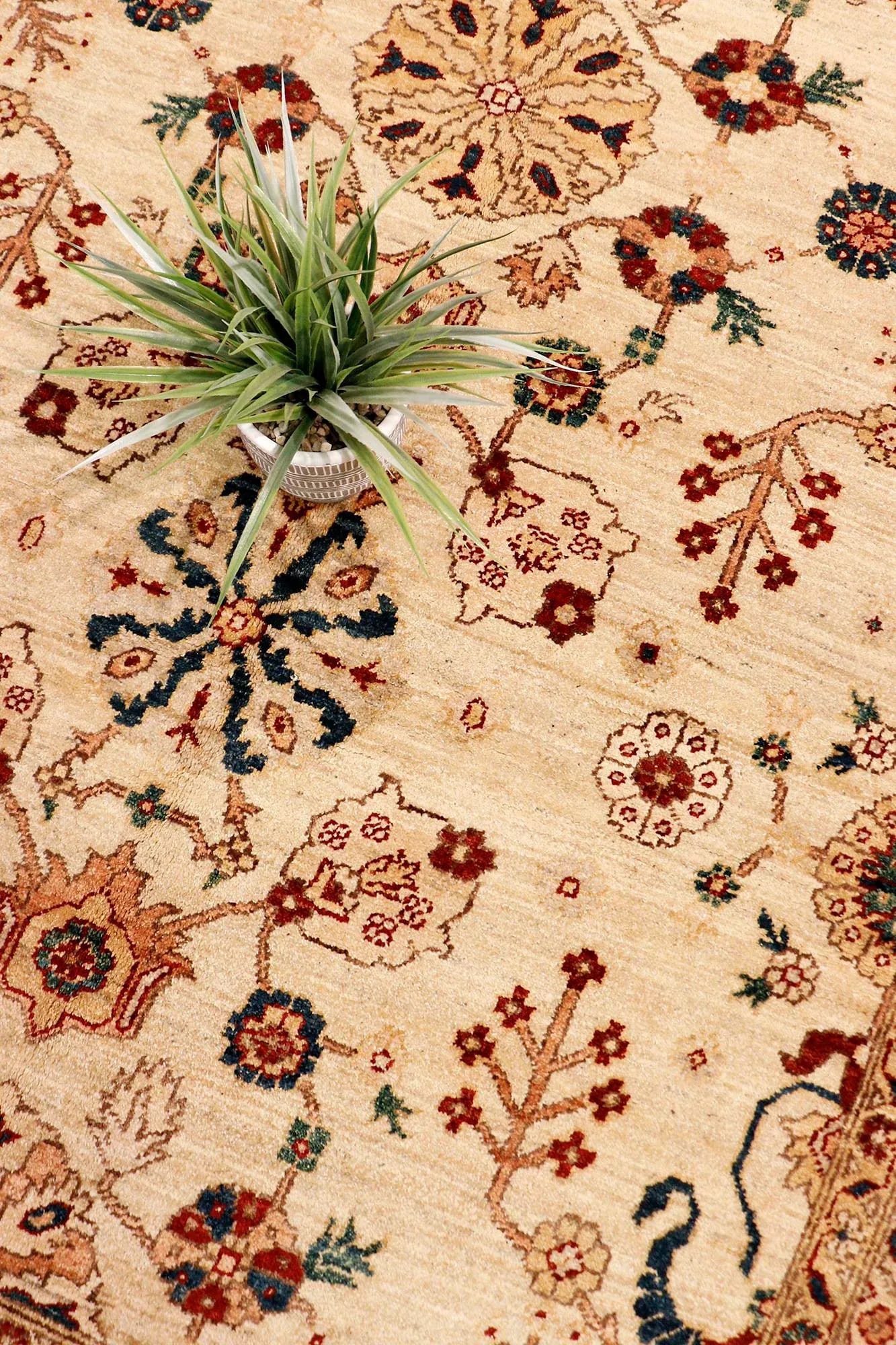 Pasargad Home Sultanabad Lamb's Wool Area Rug, 6' 3" X 8' 9", Ivory - 3