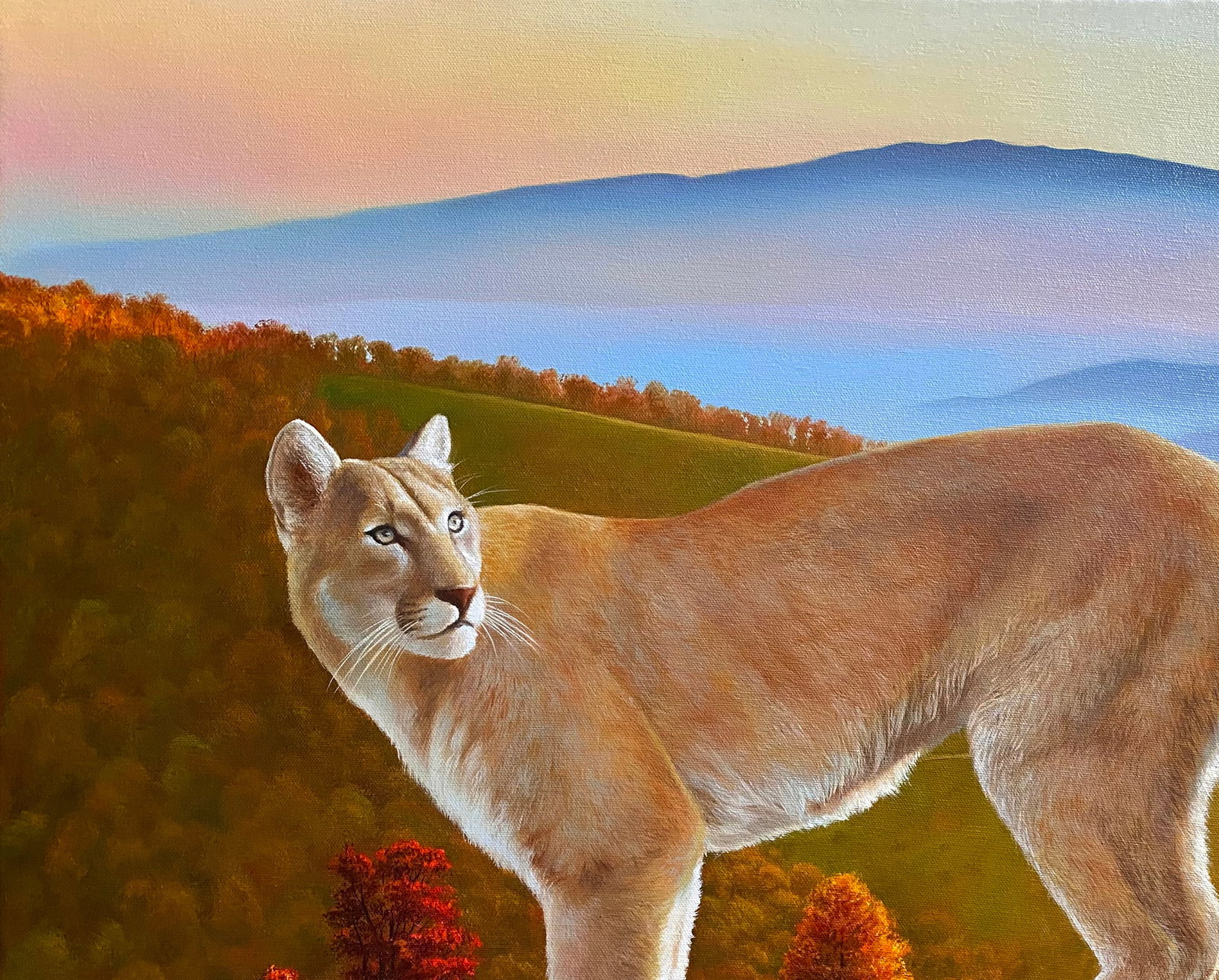 Oil painting Puma in the wild Kateryna Bukuros - 2