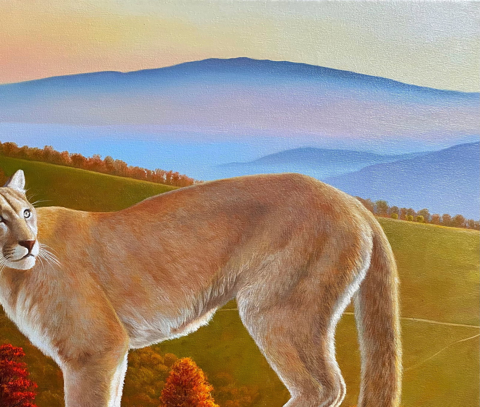 Oil painting Puma in the wild Kateryna Bukuros - 3