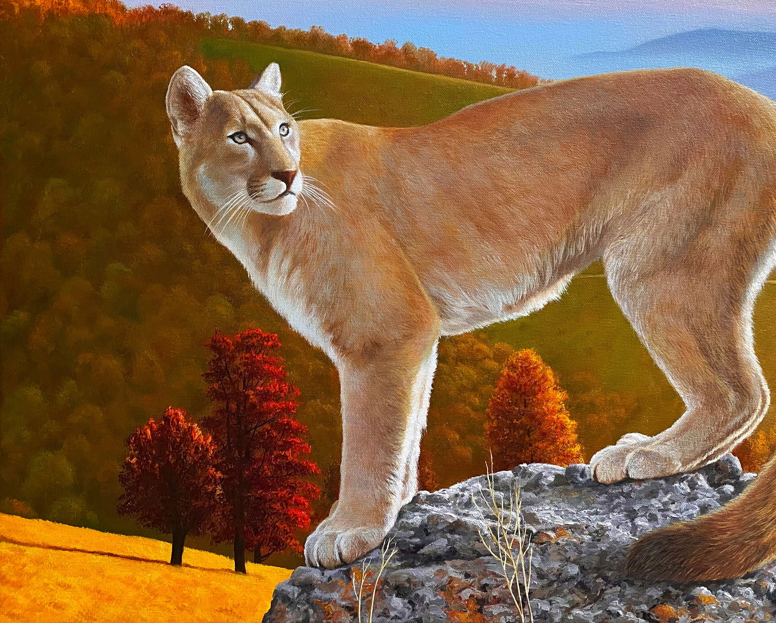Oil painting Puma in the wild Kateryna Bukuros - 4
