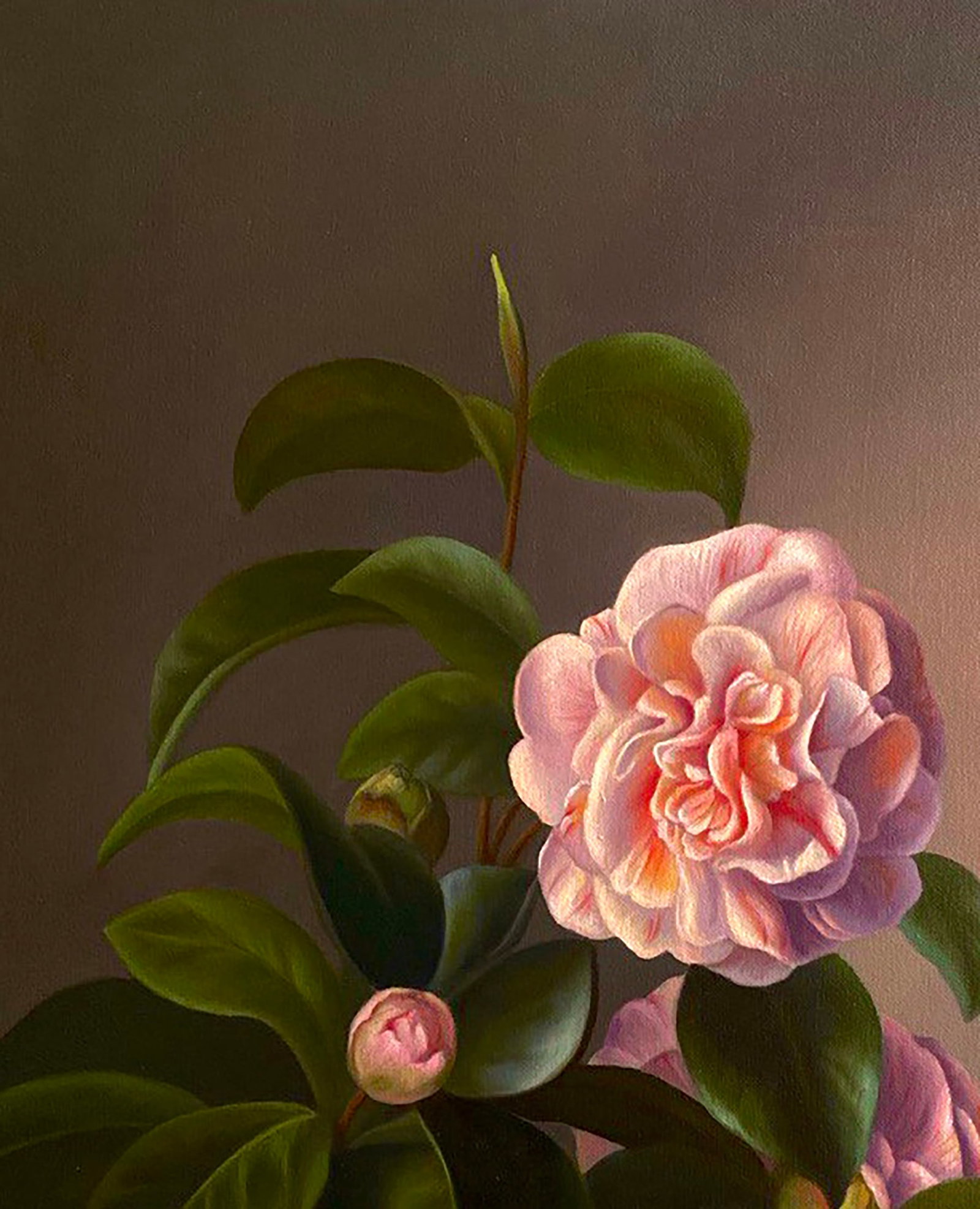 Oil painting Camellia flower Kateryna Bukuros - 2