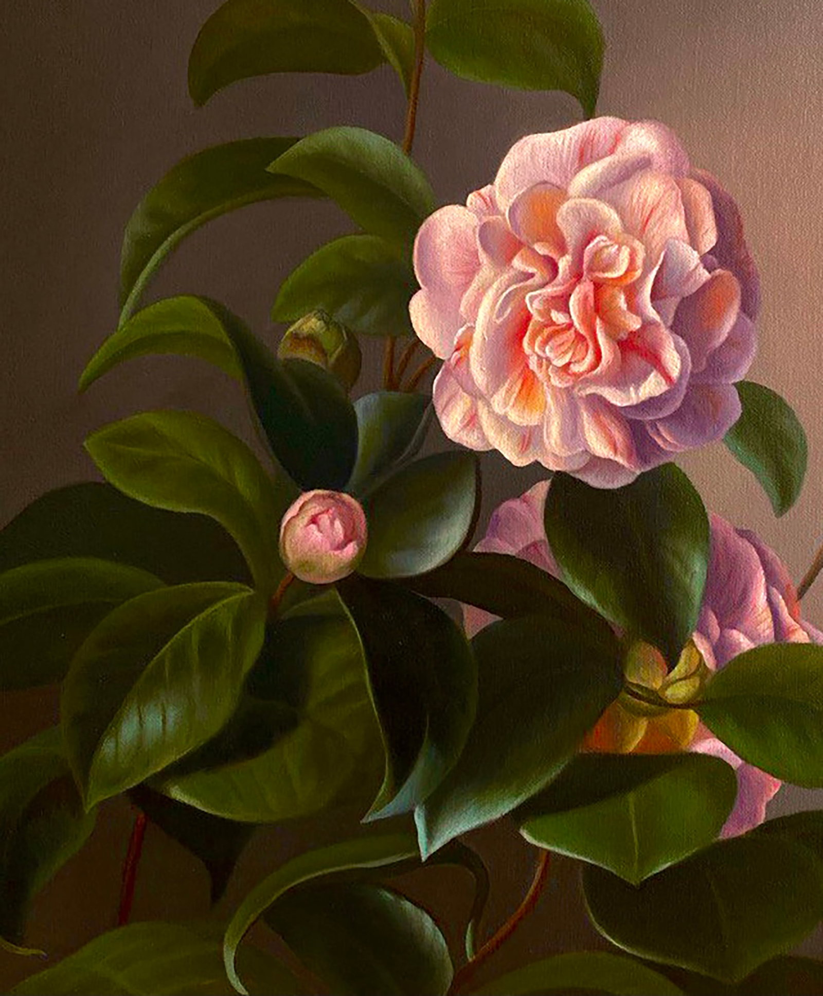 Oil painting Camellia flower Kateryna Bukuros - 4