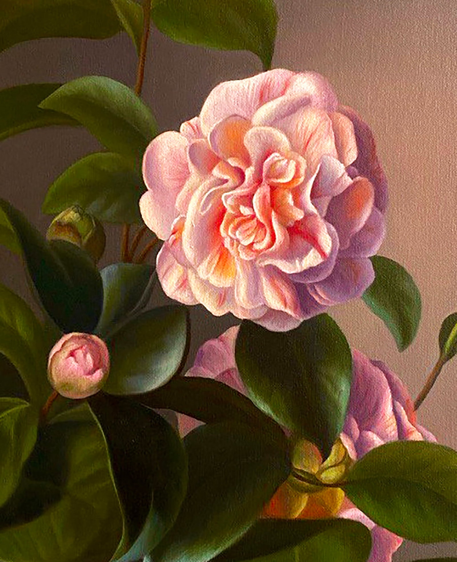 Oil painting Camellia flower Kateryna Bukuros - 6
