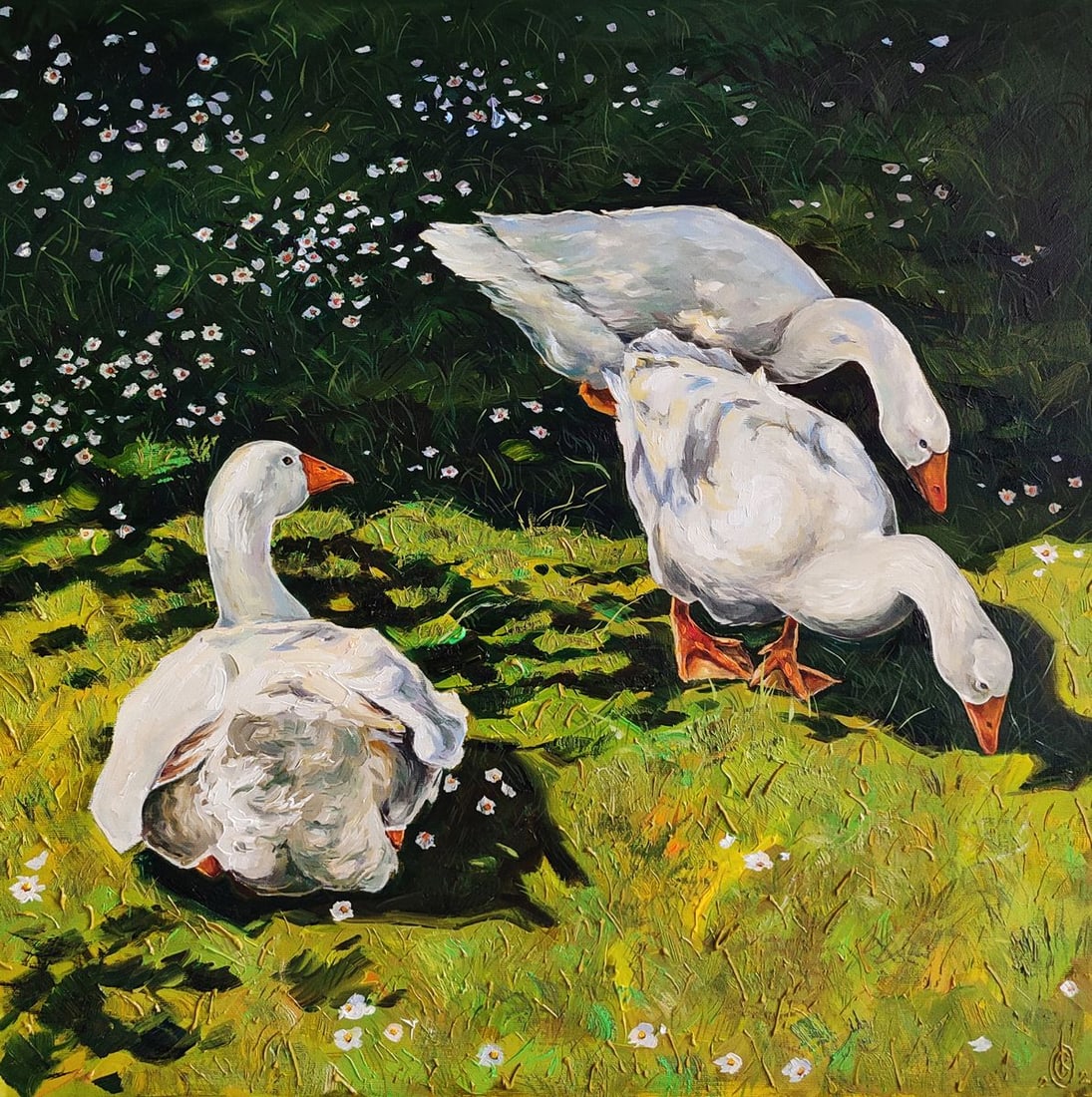 Oil painting Geese's afternoon lunch Oksana Sklym: Title: Oil painting Geese's afternoon lunch Oksana Sklym Description: 15SKLIM Painter: Oksana Sklym Size: 60x60 cm/23.62x23.62 inches Components: oil, canvas Original painting CONDITION: