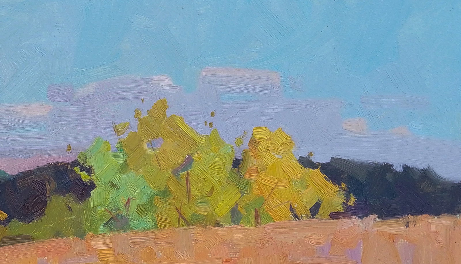 Oil painting Autumn has come to the fields Igor Tuzhikov - 5