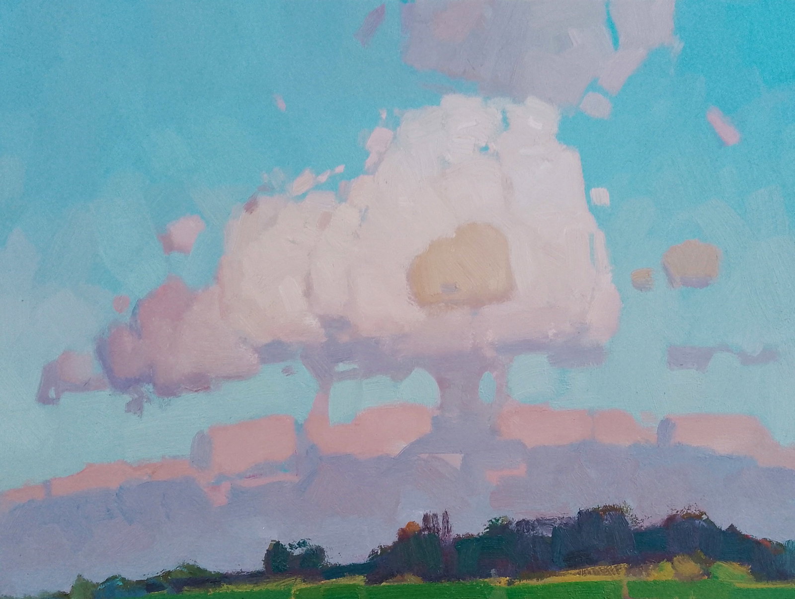 Oil painting Cloudy fresh air Igor Tuzhikov: Title: Oil painting Cloudy fresh air Igor Tuzhikov Description: 6TUZHIK Painter: Igor Tuzhikov Size: 30x40 cm/11.81x15.74 inches Components: oil, cardboard Original painting CONDITION: excellent