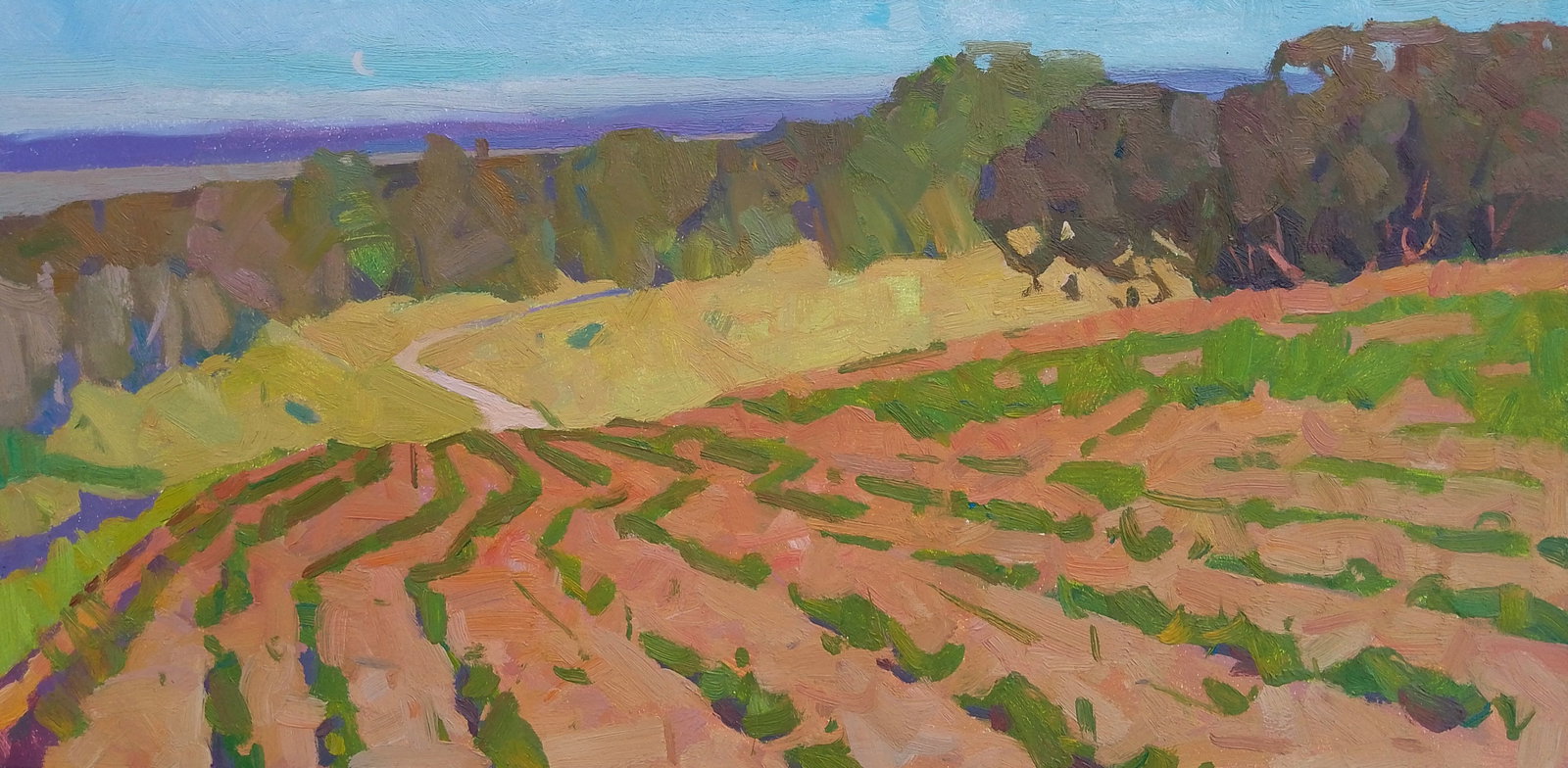 Oil painting A bright vegetable garden Igor Tuzhikov: Title: Oil painting A bright vegetable garden Igor Tuzhikov Description: 9TUZHIK Painter: Igor Tuzhikov Size: 20x40 cm/7.87x15.74 inches Components: oil, cardboard Original painting CONDITION: