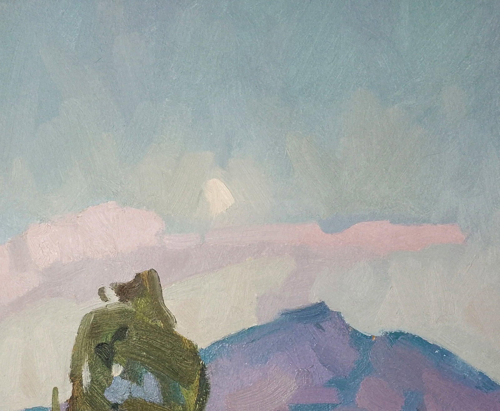 Oil painting Fresh air in the mountains Igor Tuzhikov - 5