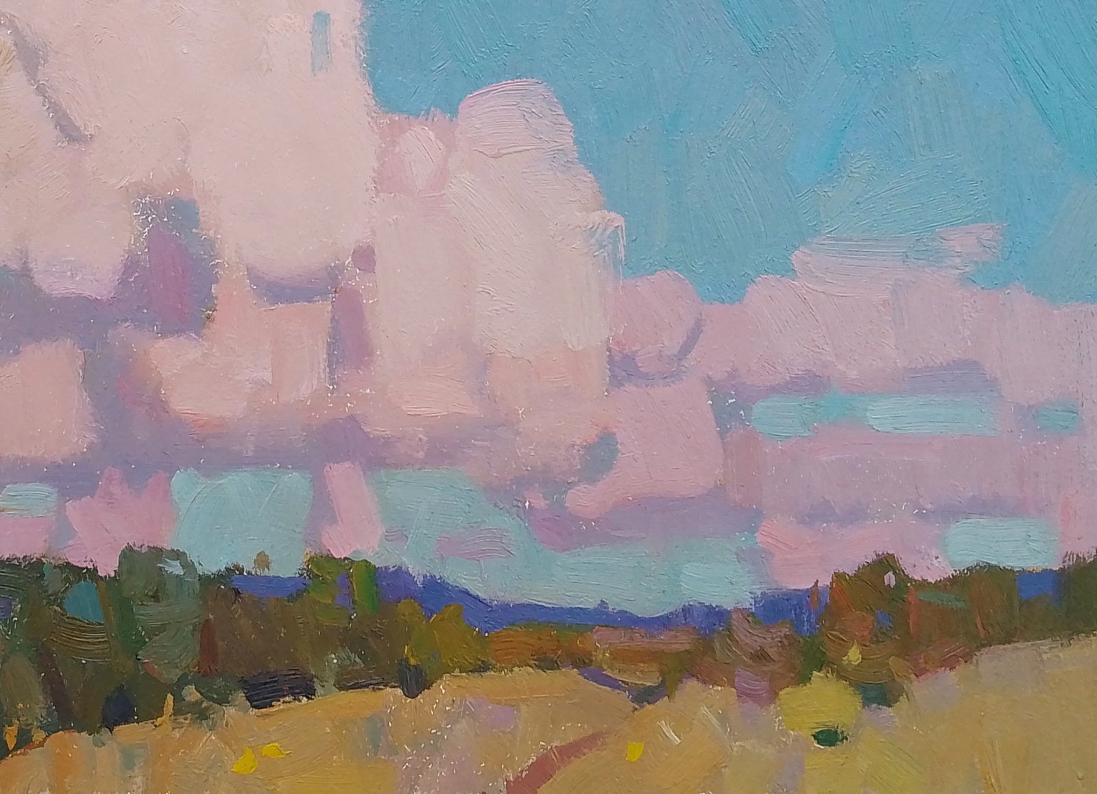 Oil painting Evening clouds Igor Tuzhikov - 2