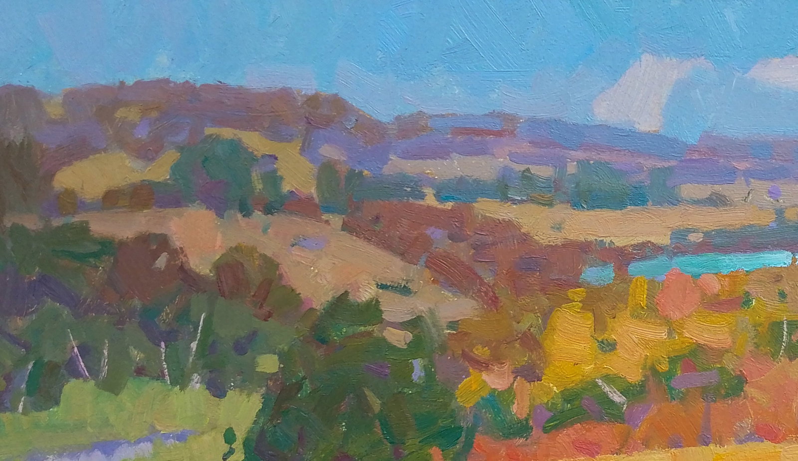 Oil painting A hot summer evening Igor Tuzhikov - 4