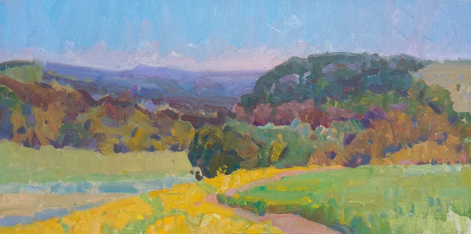 Oil painting Bright evening sun Igor Tuzhikov: Title: Oil painting Bright evening sun Igor Tuzhikov Description: 35TUZHIK Painter: Igor Tuzhikov Size: 20x40 cm/7.87x15.74 inches Components: oil, cardboard Original painting CONDITION: