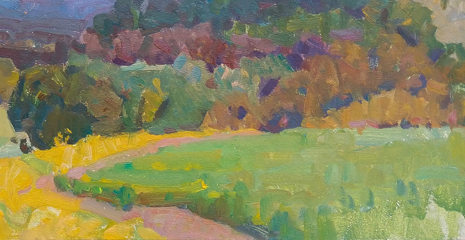 Oil painting Bright evening sun Igor Tuzhikov - 2