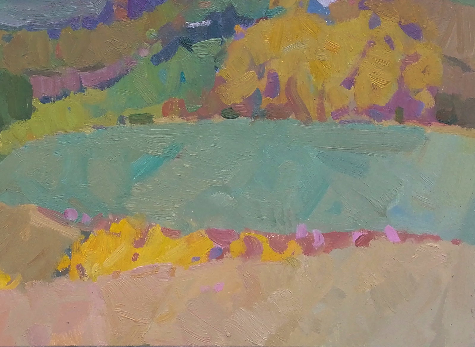 Oil painting In the mountain fields Igor Tuzhikov - 2