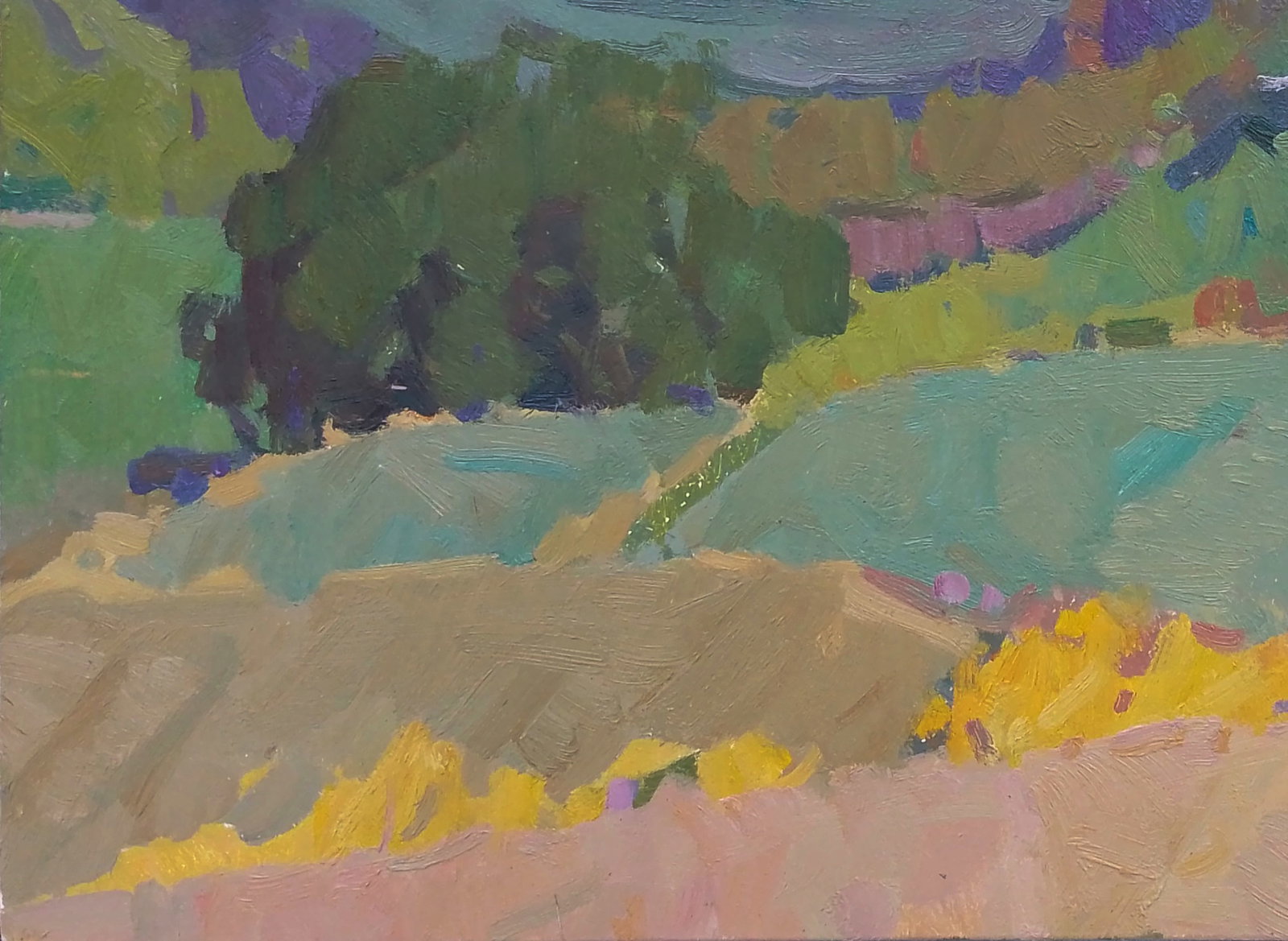 Oil painting In the mountain fields Igor Tuzhikov - 3