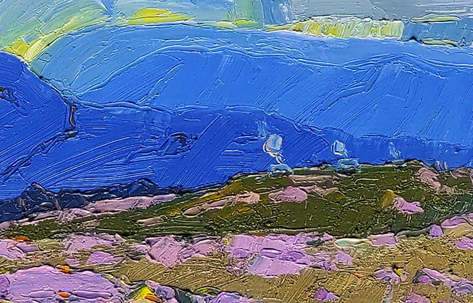 Oil painting Spring on a mountain meadow Yaroslav Savchyn - 3