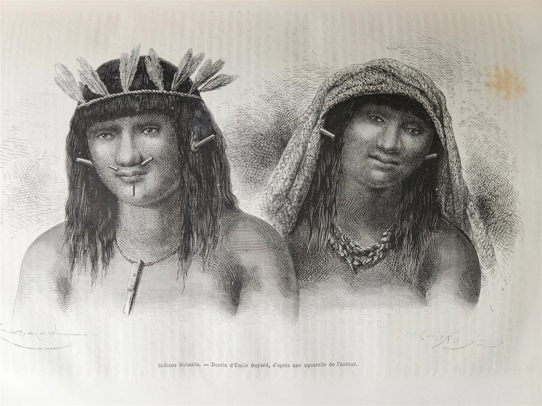 1872 HISTORY VOYAGES ILLUSTRATED antique AFRICA PERU RUSSIA CENTRAL ALPES FRANCE: Title: 1872 HISTORY VOYAGES ILLUSTRATED antique AFRICA PERU RUSSIA CENTRAL ALPES FRANCE Description: LE TOUR DE MONDE Nouveau Journal des Voyages. Publie sous la direction de E.Charton. [Published und